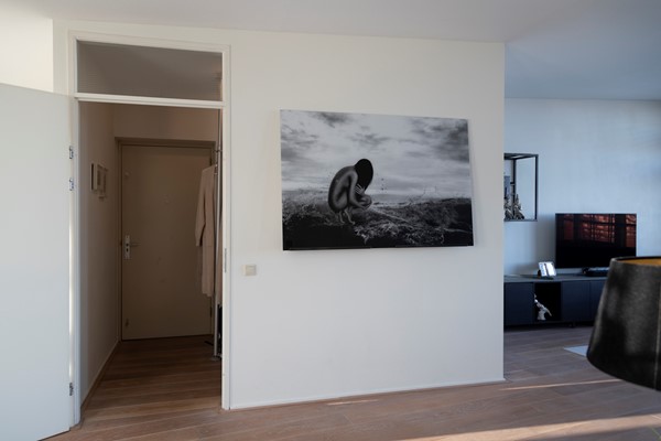 Foto - Te koop: Argusvlinder 123, 4814 SG Breda